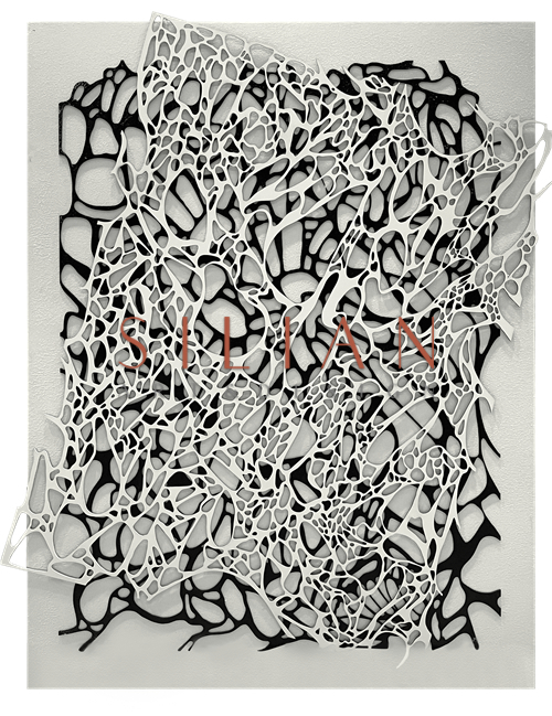 Graphic Black Shapes IV